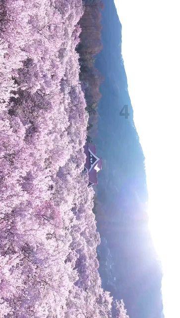 怎么睡觉才是健康的?-知识星球 | 专业分享交流平台