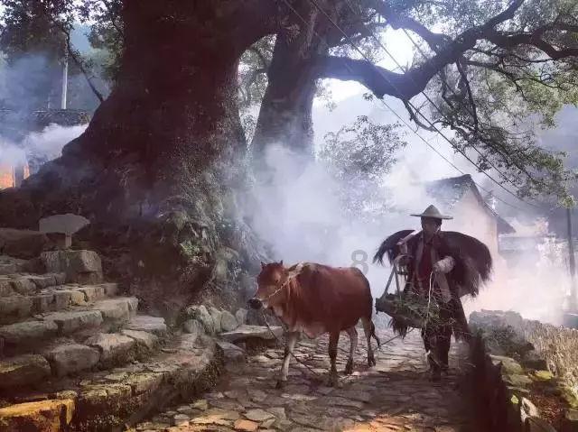 卡通小车找不同