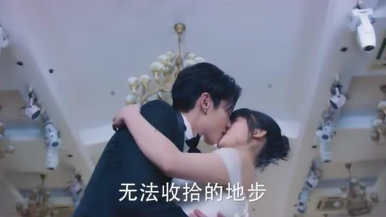 动物狂欢夜