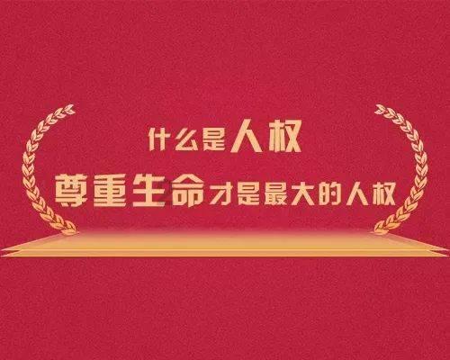 吃金币的猫